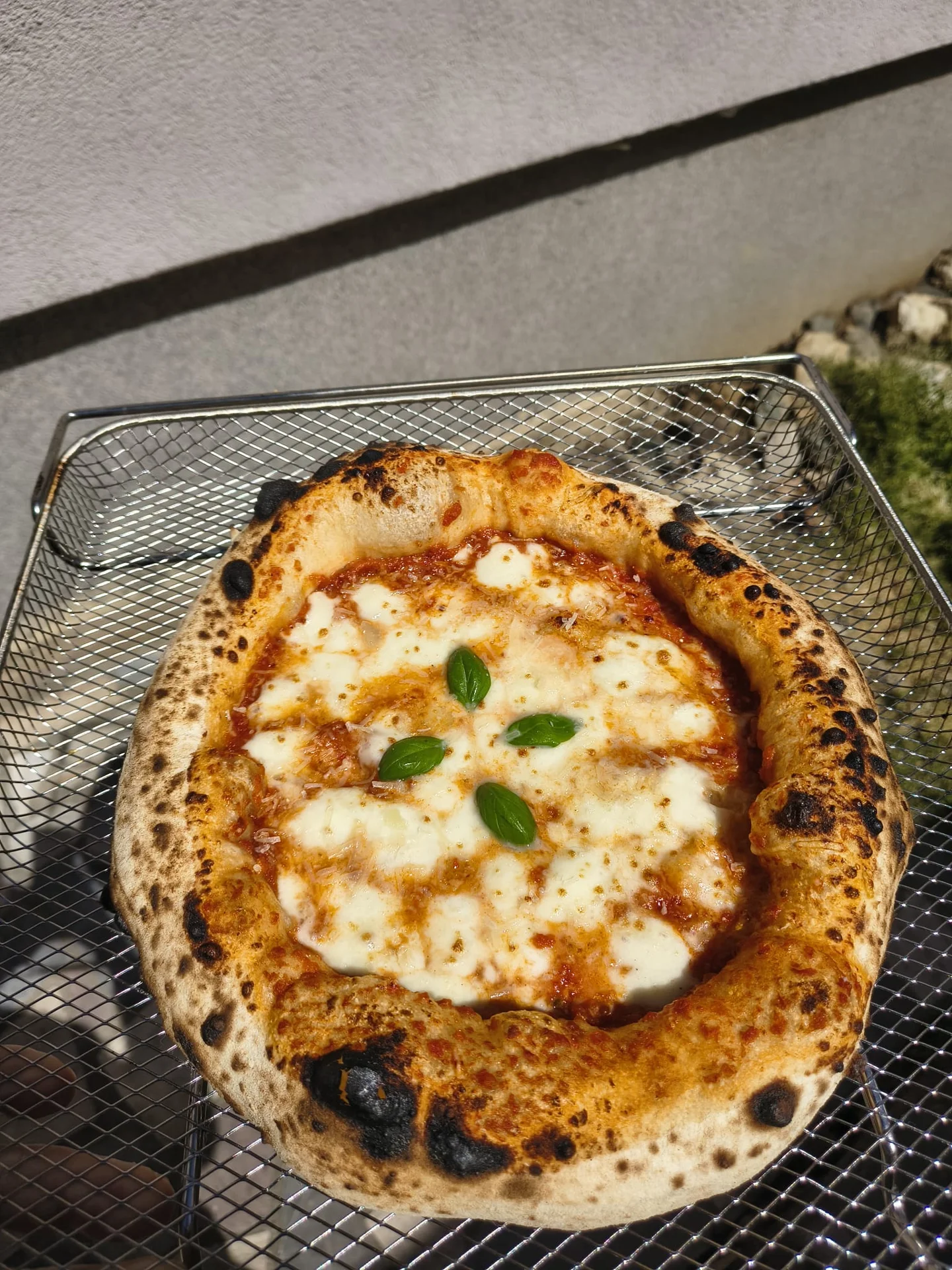 Pizza Napoletana (Contemporary Neapolitan)